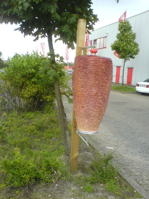 Freiwachsender Doener vor dem ehemaligen Mediamarkt